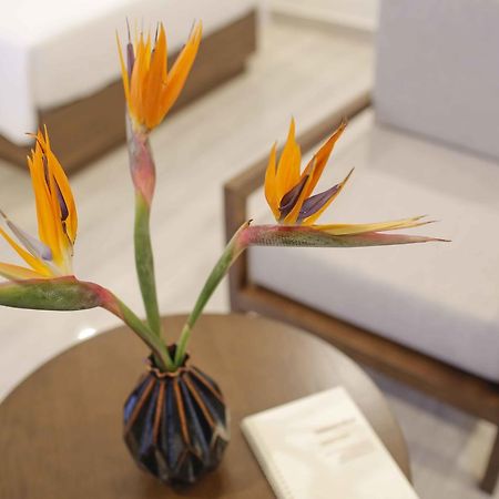Terrace Villa Hoi An Zewnętrze zdjęcie
